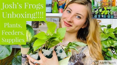 josh's frogs|josh's frogs plants for people.